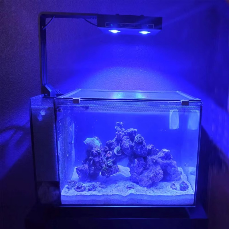 China leverancier dimbaar 95W  - Aquarium Fish Supplier recensie en prijs