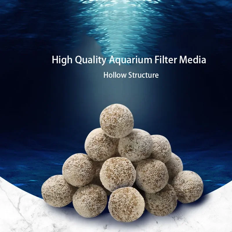 10 Stuks 20 Stuks Hoge Kwalite - Aquarium Fish Quality recensie en prijs