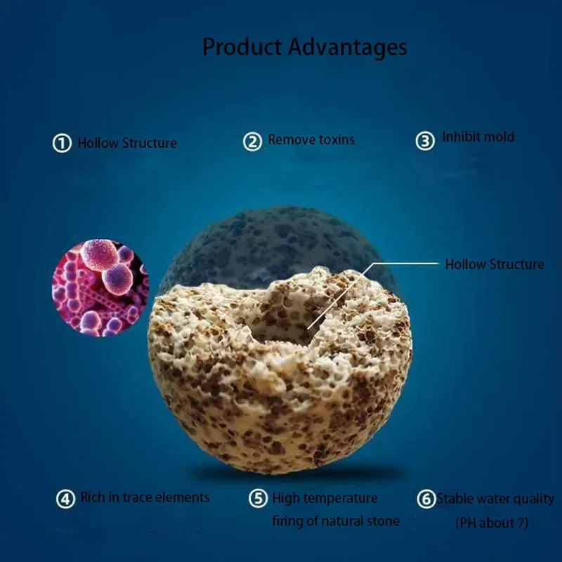 10 Stuks 20 Stuks Hoge Kwalite - Aquarium Fish Quality recensie en prijs