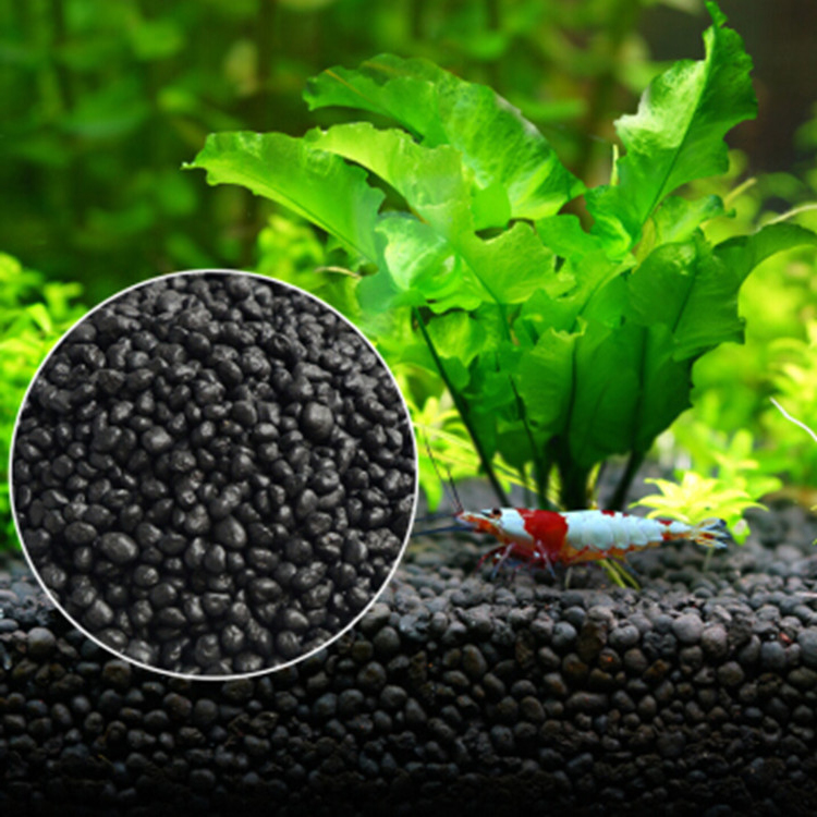 Aquarium Plant Zaden Bodem Fis - Aquarium Fish Care recensie en prijs