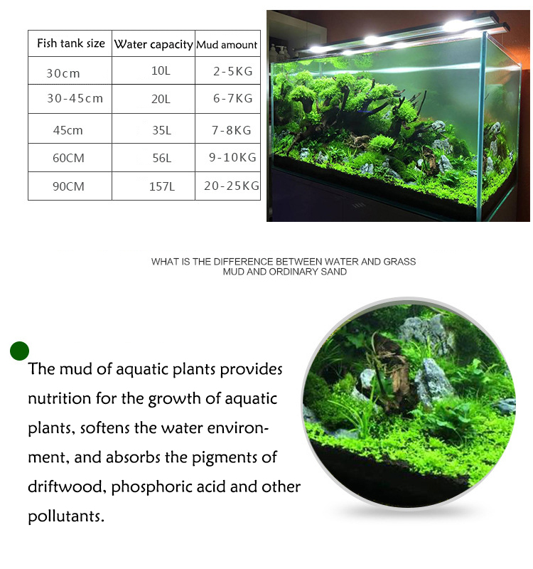 Aquarium Plant Zaden Bodem Fis - Aquarium Fish Care recensie en prijs
