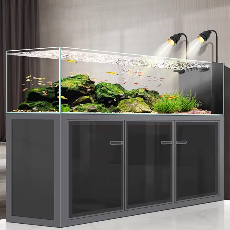 Fabrieks prijs 240 gallon rech - Aquarium Fish And Price recensie en prijs