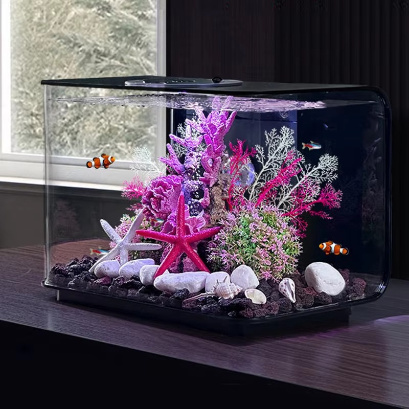 Aquarium Woonkamer Kleine Visb - Aquarium Fish Supplier recensie en prijs