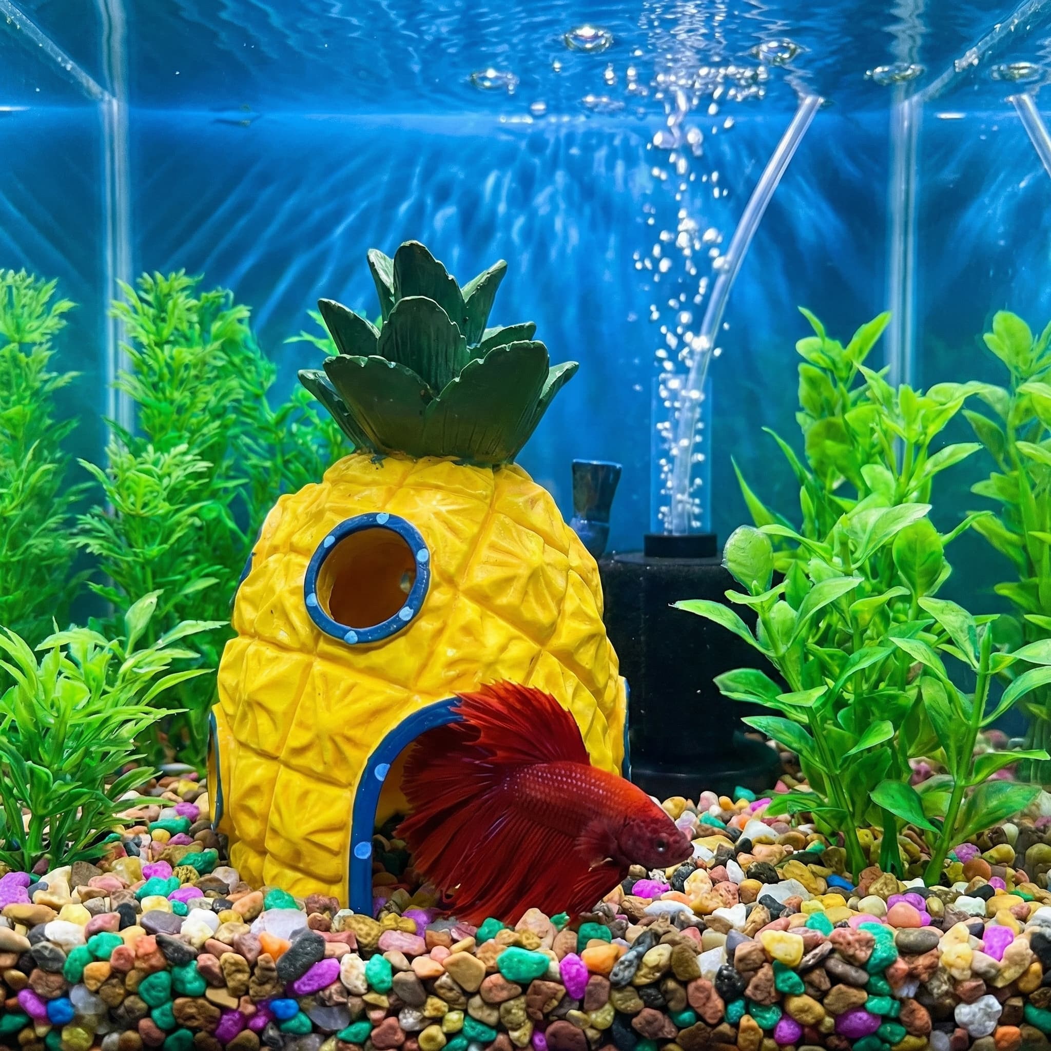 Ananas Huis Aquarium Decor, Mi - Aquarium Fish Hideout recensie en prijs
