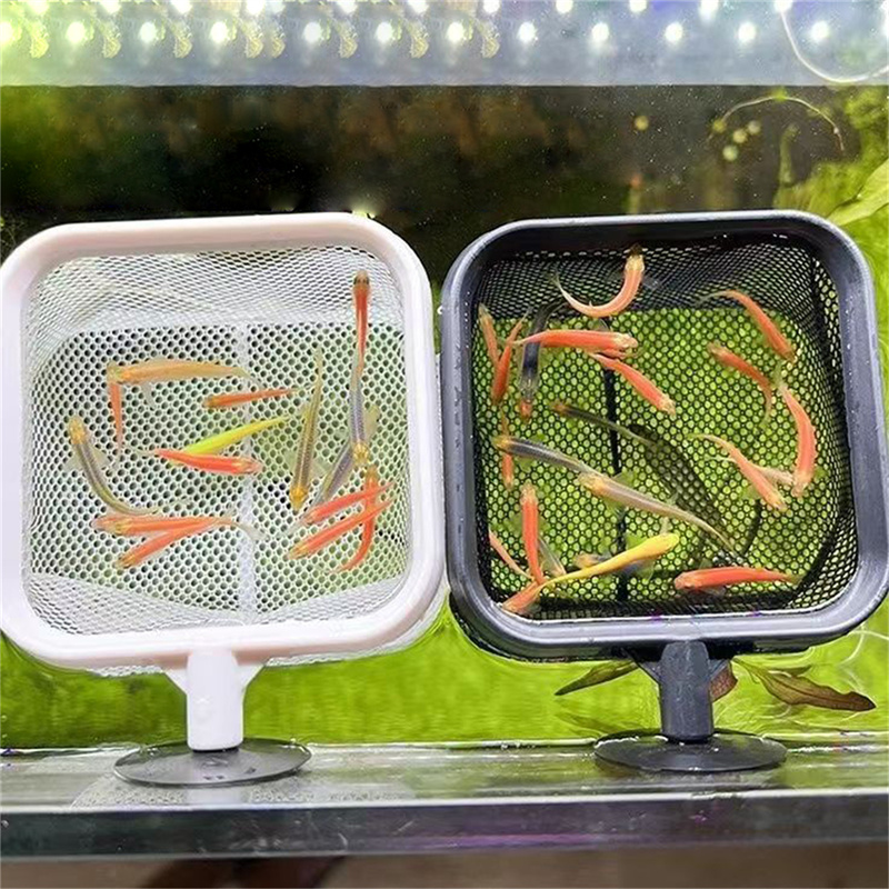 AquariumFish Visnet Roestvrij  - Aquarium Fish Net Small recensie en prijs