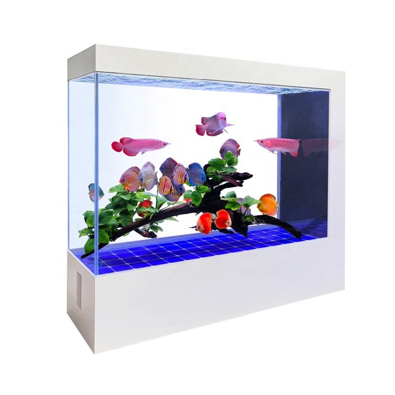 Groothandel Maatwerk Nieuwste  - Aquarium Fish And Price recensie en prijs