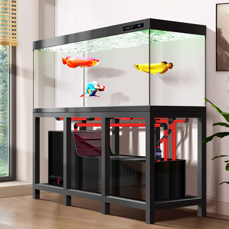 Industriële grote Arowana aqua - Aquarium Fish Low Maintenance recensie en prijs