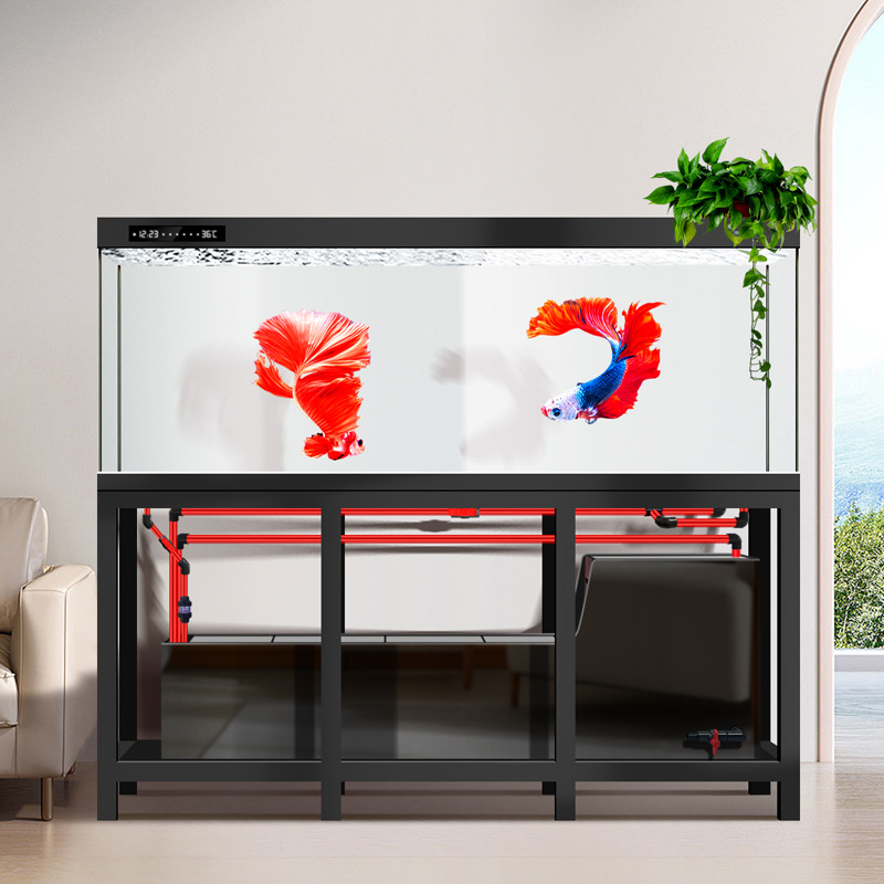 Industriële grote Arowana aqua - Aquarium Fish Low Maintenance recensie en prijs