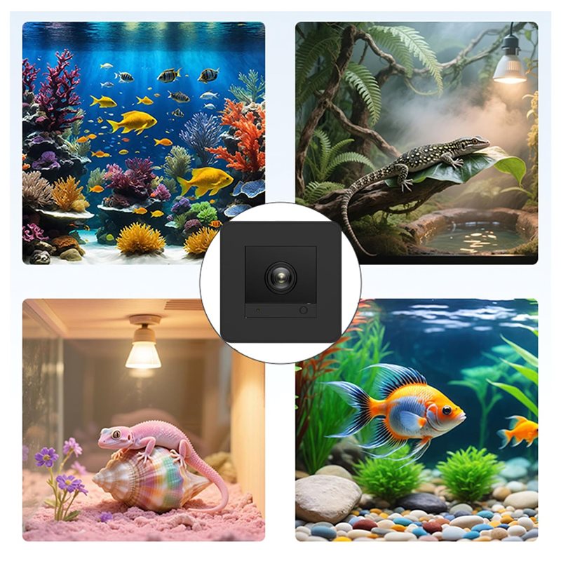 Prijsdaling! !】Aquariumcamera  - Aquarium Fish And Price recensie en prijs