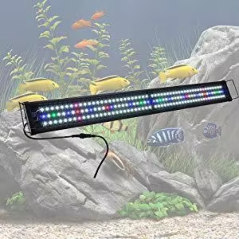 China leverancier visbakverlic - Aquarium Fish Supplier recensie en prijs