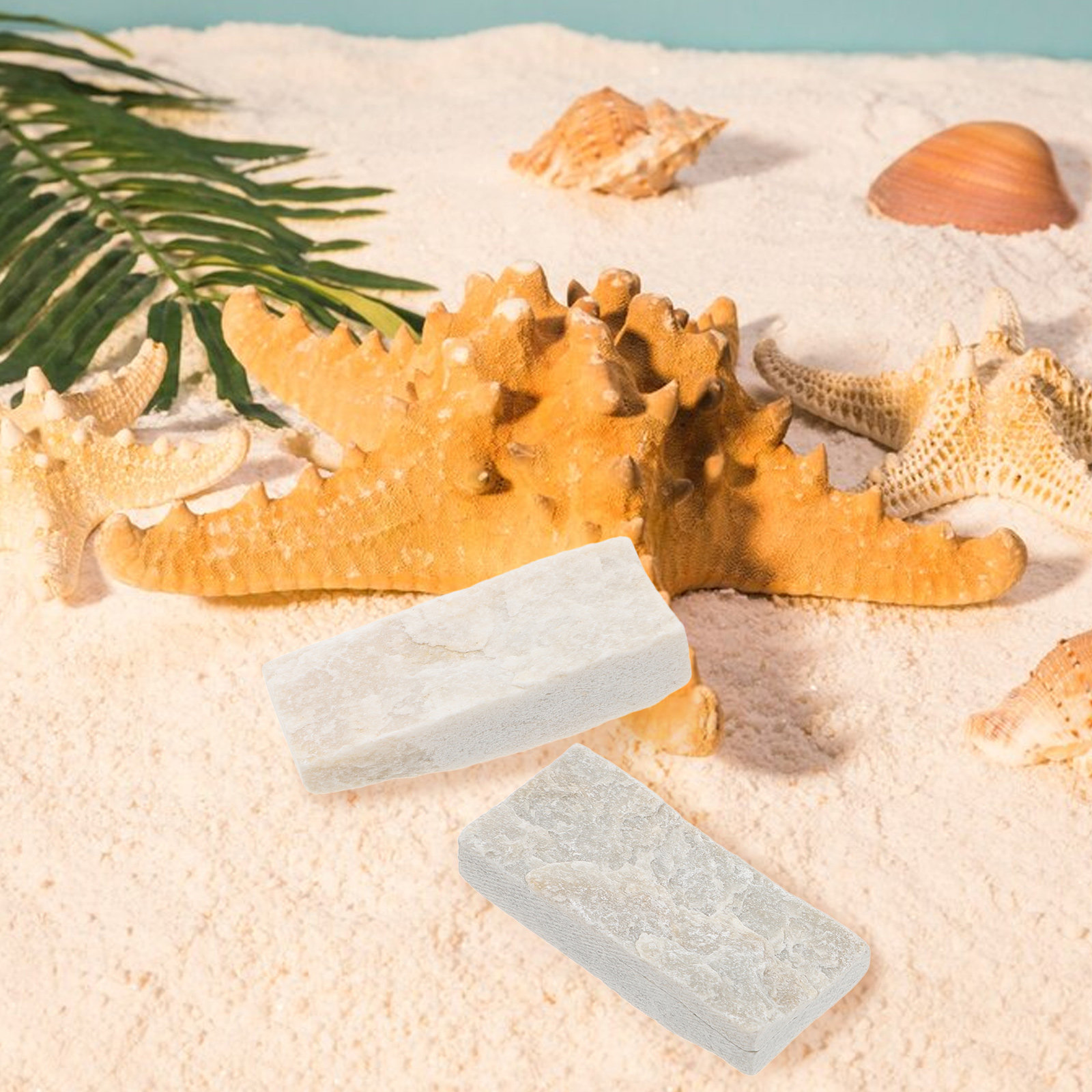 10 stuks natuurlijke aquariums - Aquarium Fish Small recensie en prijs