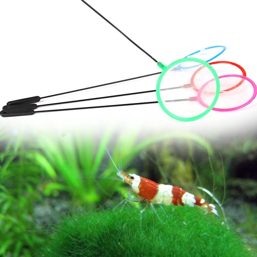 1/5/10pc Kleurrijke aquariumvi - Aquarium Fish Net Small recensie en prijs